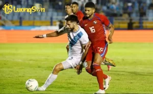 pan gua 1697508503691 161510avat 69144c890e3c3